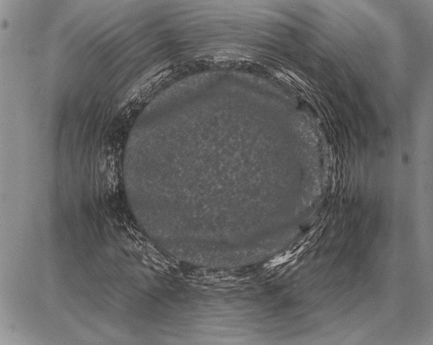 X0000087670774200705181704