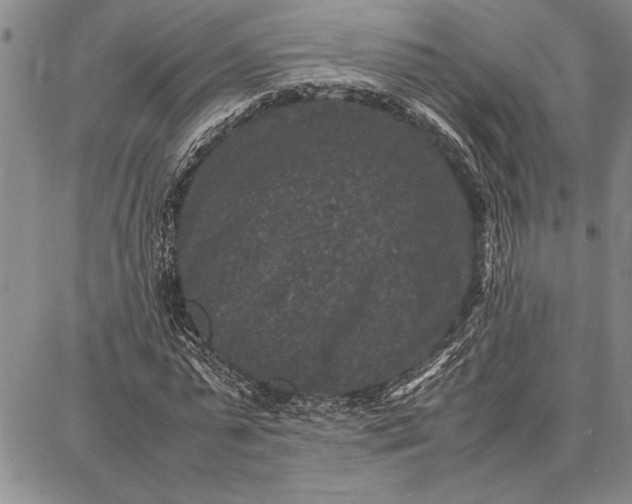 X0000087670775200705181704