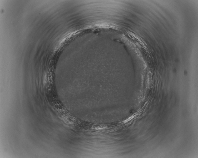 X0000087670776200705181704