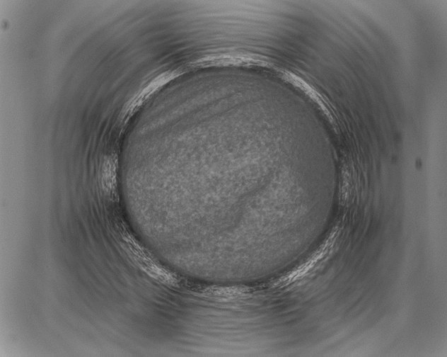 X0000087670778200705181704