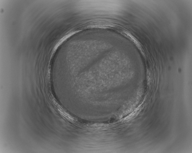 X0000087670779200705181703