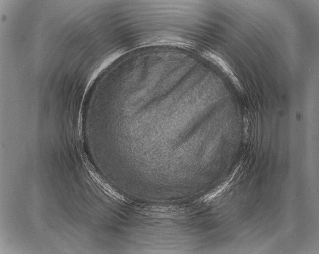 X0000087670780200705181703