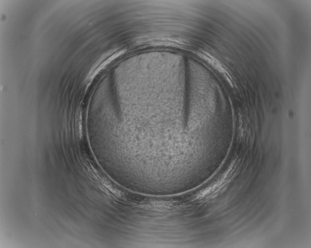 X0000087670782200705181703