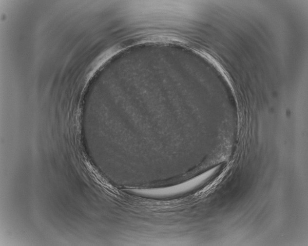 X0000087670783200705181703