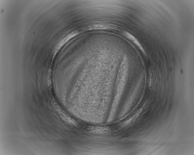 X0000087670786200705181703