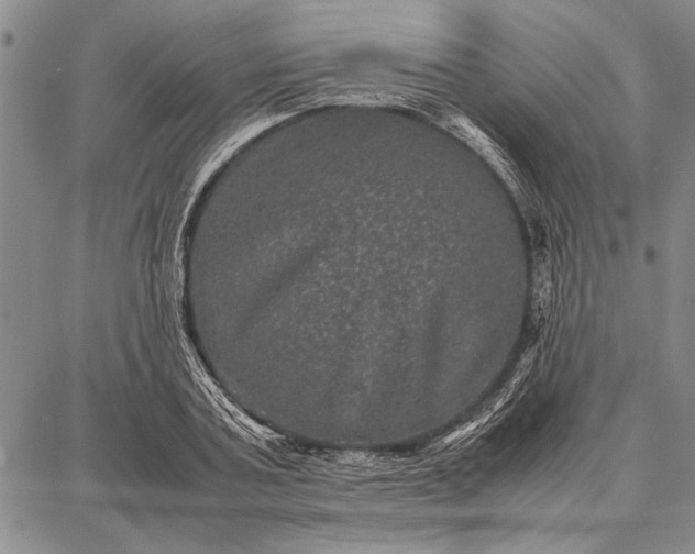 X0000087670787200705181703