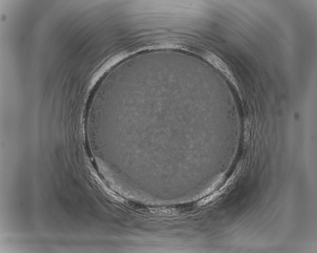 X0000087670789200705181703