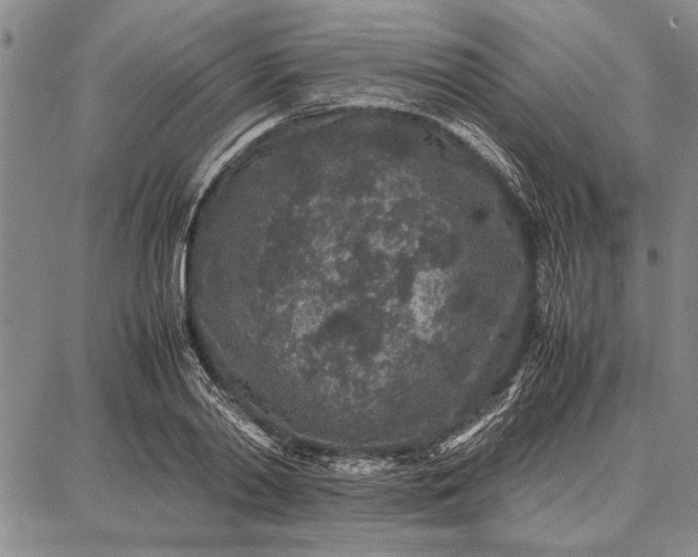 X0000087670790200705181703