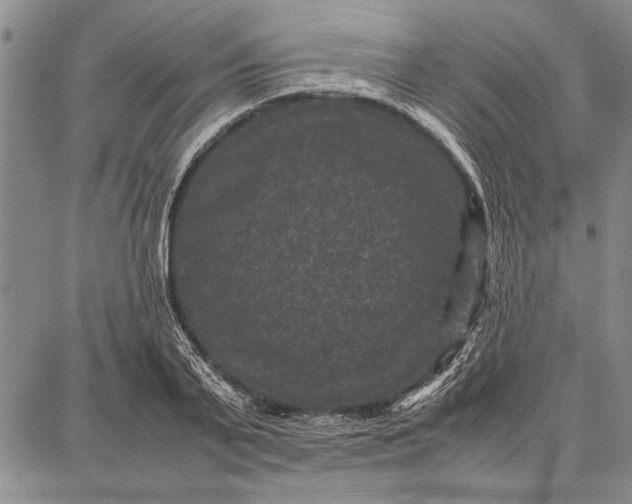 X0000087670791200705181703