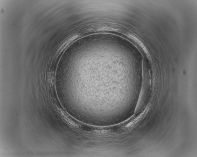 X0000087670793200705181703