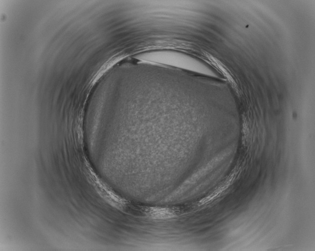 X0000087670794200705181703