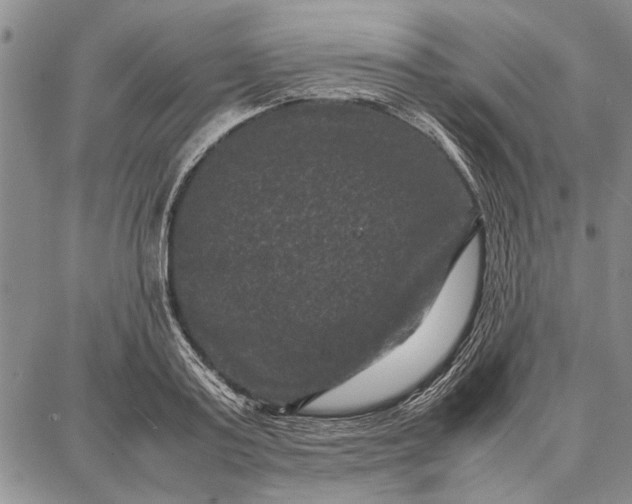 X0000087670795200705181703