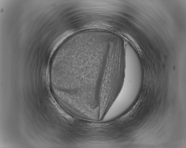 X0000087670796200705181703