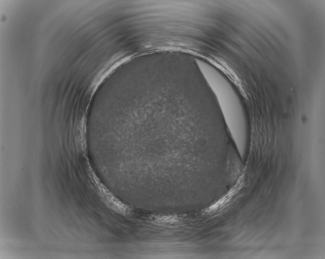 X0000087670798200705181703