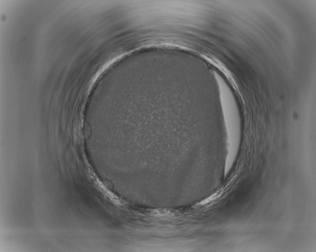 X0000087670799200705181703