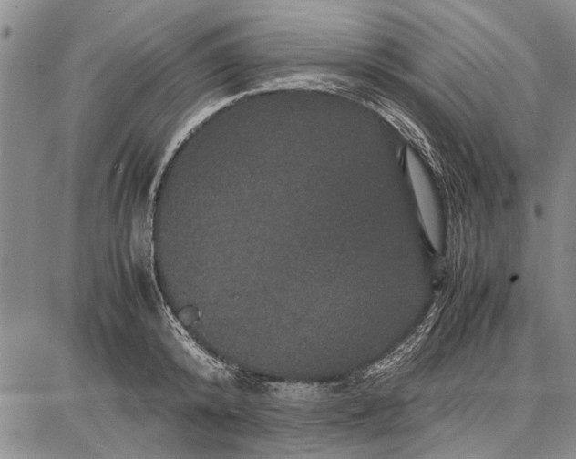 X0000087670800200705181703