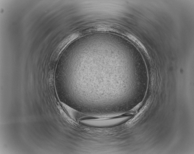 X0000087670801200705181703