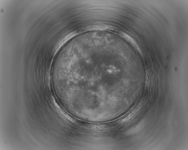 X0000087670802200705181703