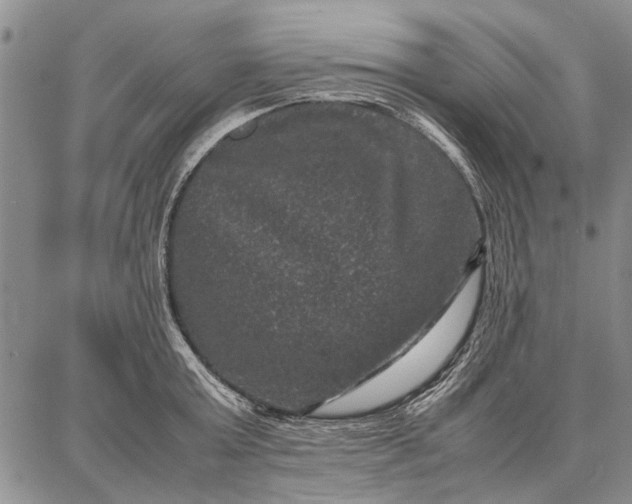 X0000087670803200705181703