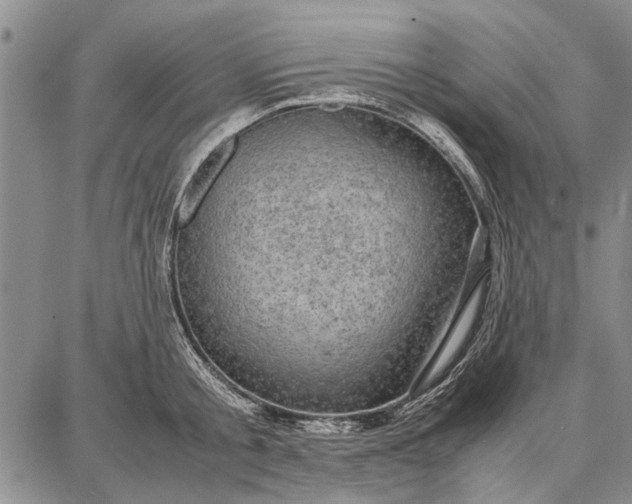 X0000087670805200705181703