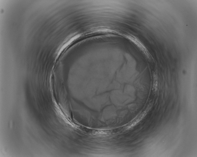 X0000087670806200705181703