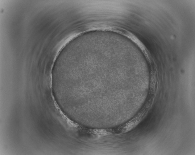 X0000087670807200705181703