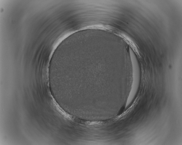 X0000087670808200705181703