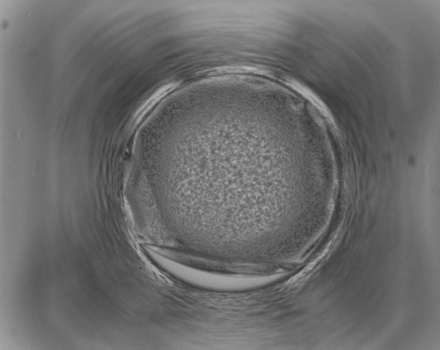 X0000087670809200705181703