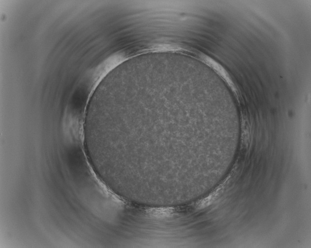 X0000087670810200705181703