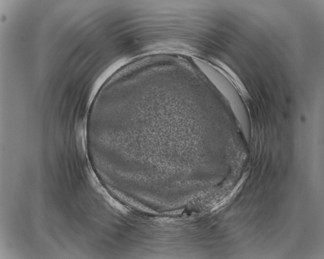 X0000087670812200705181703