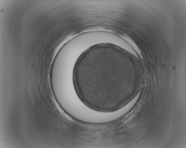 X0000087670813200705181703