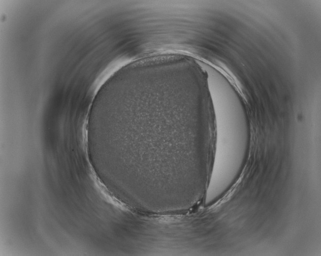 X0000087670814200705181703