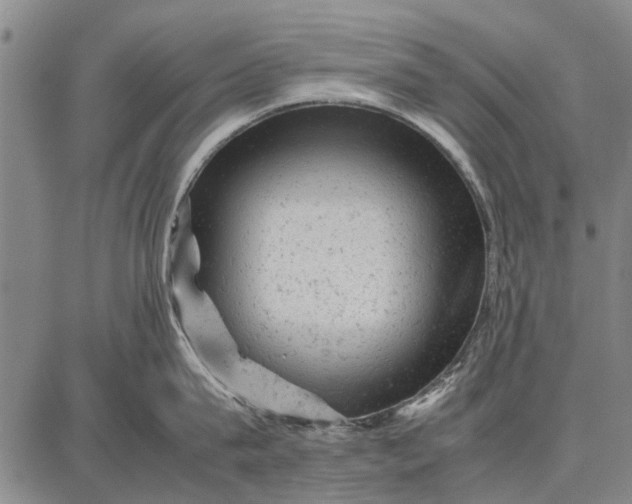 X0000087670815200705181703