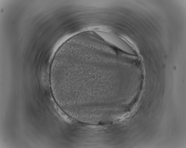 X0000087670816200705181703