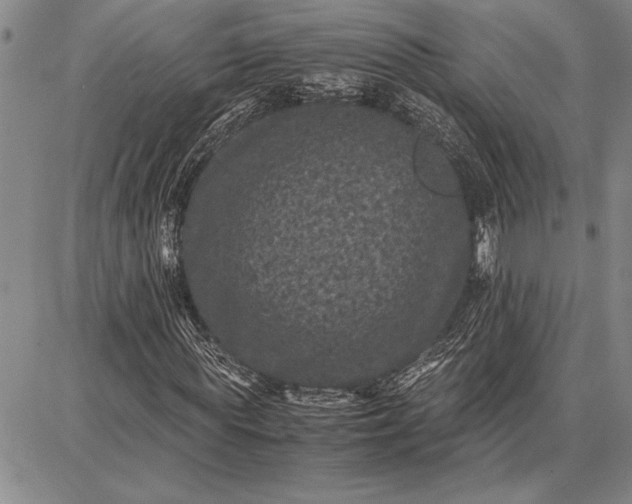 X0000087670819200705181702