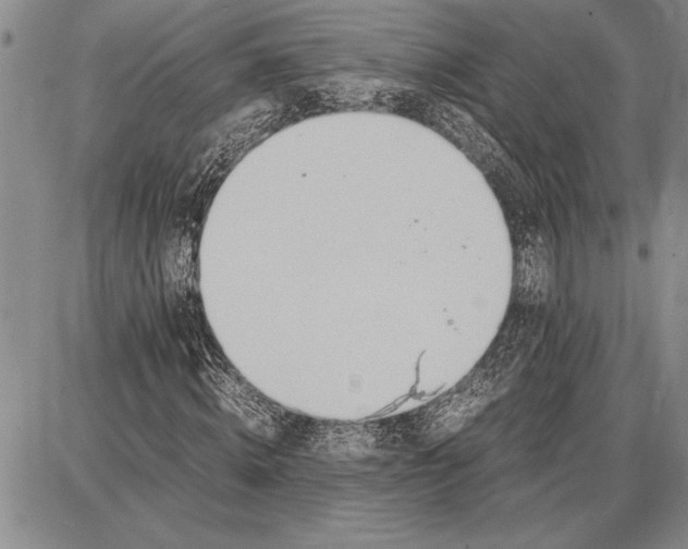 X0000087670820200705181702