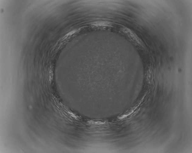 X0000087670821200705181702