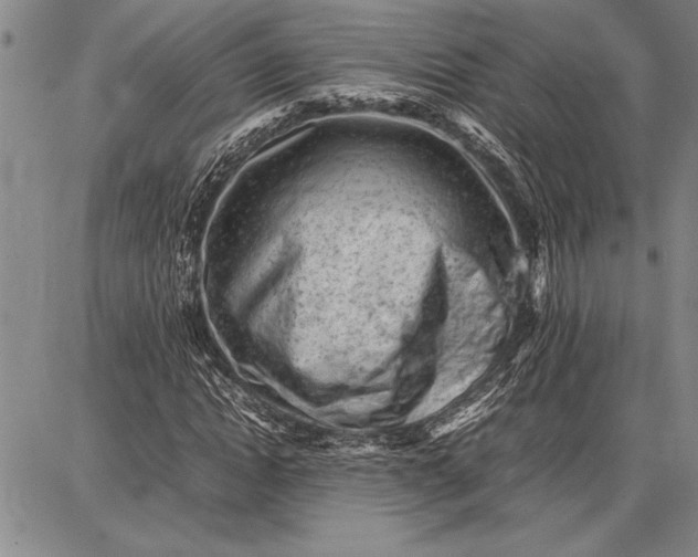 X0000087670822200705181702