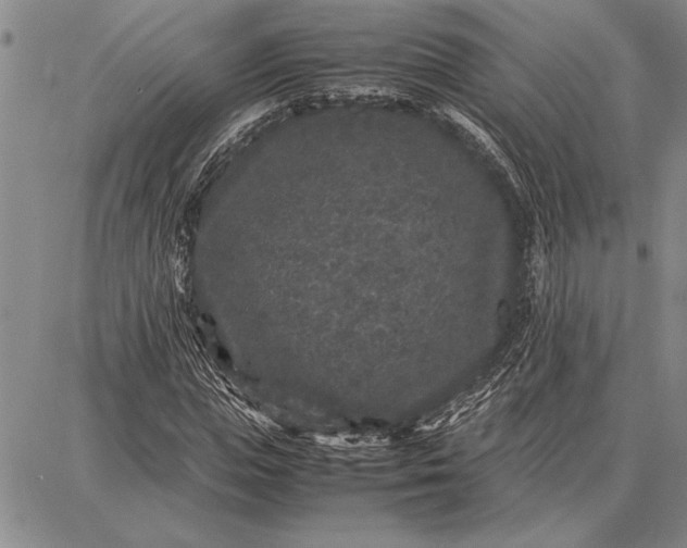 X0000087670823200705181702