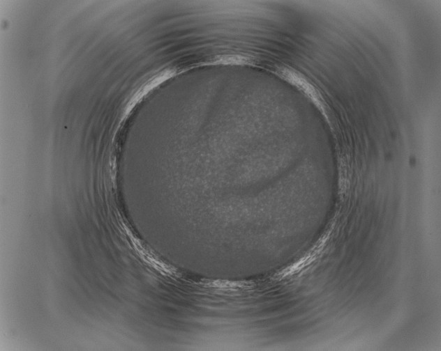 X0000087670827200705181702