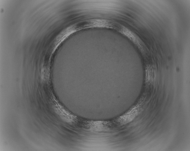 X0000087670828200705181702