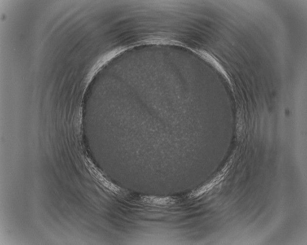 X0000087670831200705181702