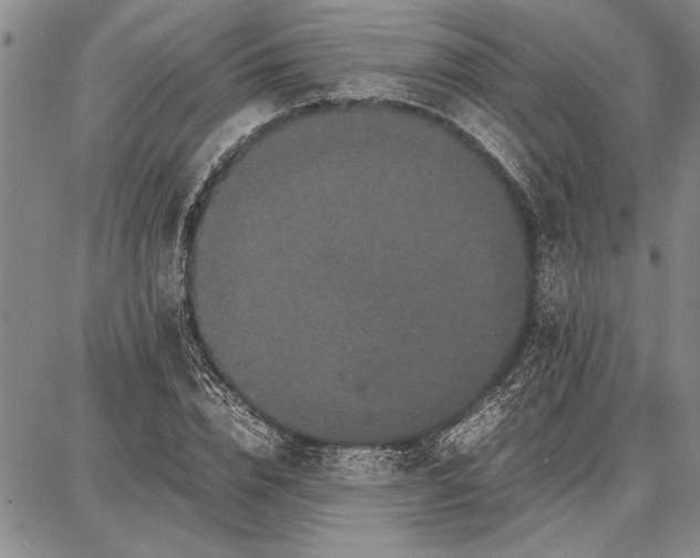 X0000087670832200705181702