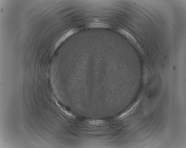 X0000087670833200705181702