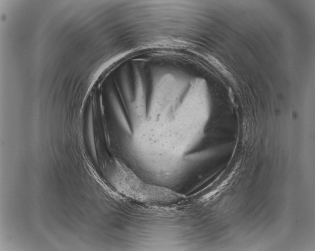 X0000087670838200705181702