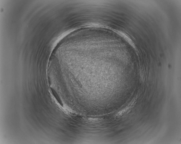 X0000087670839200705181702