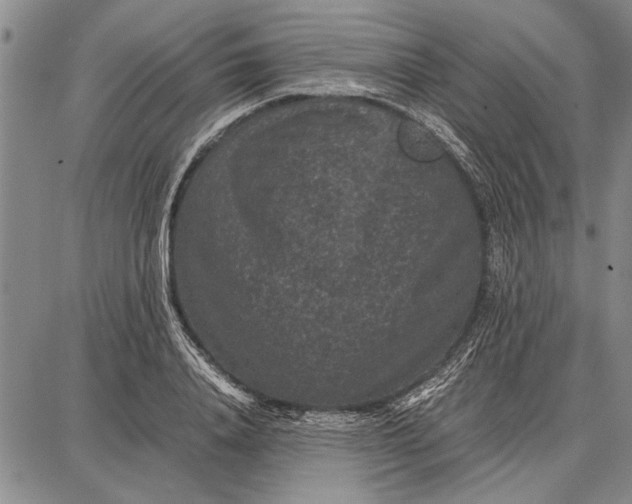 X0000087670840200705181702