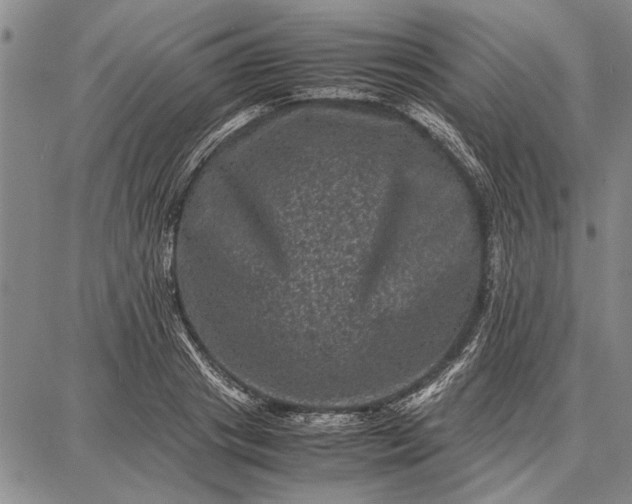 X0000087670841200705181703