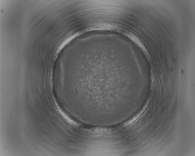 X0000087670842200705181703