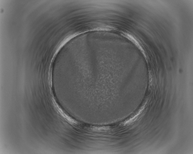 X0000087670843200705181703